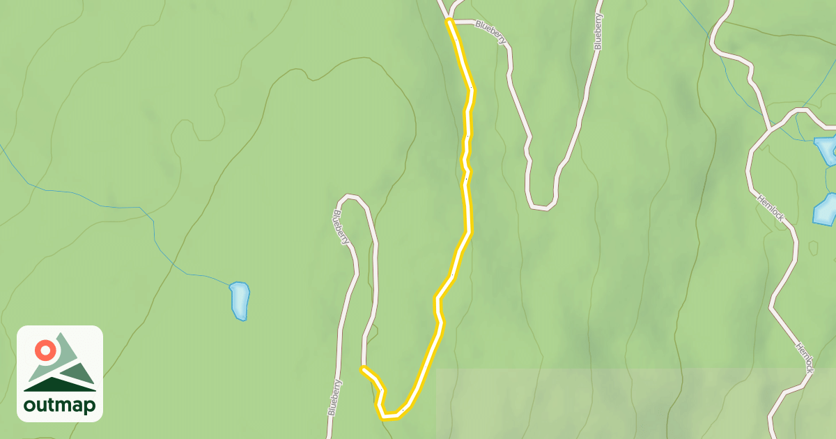 Map of Blueberry
