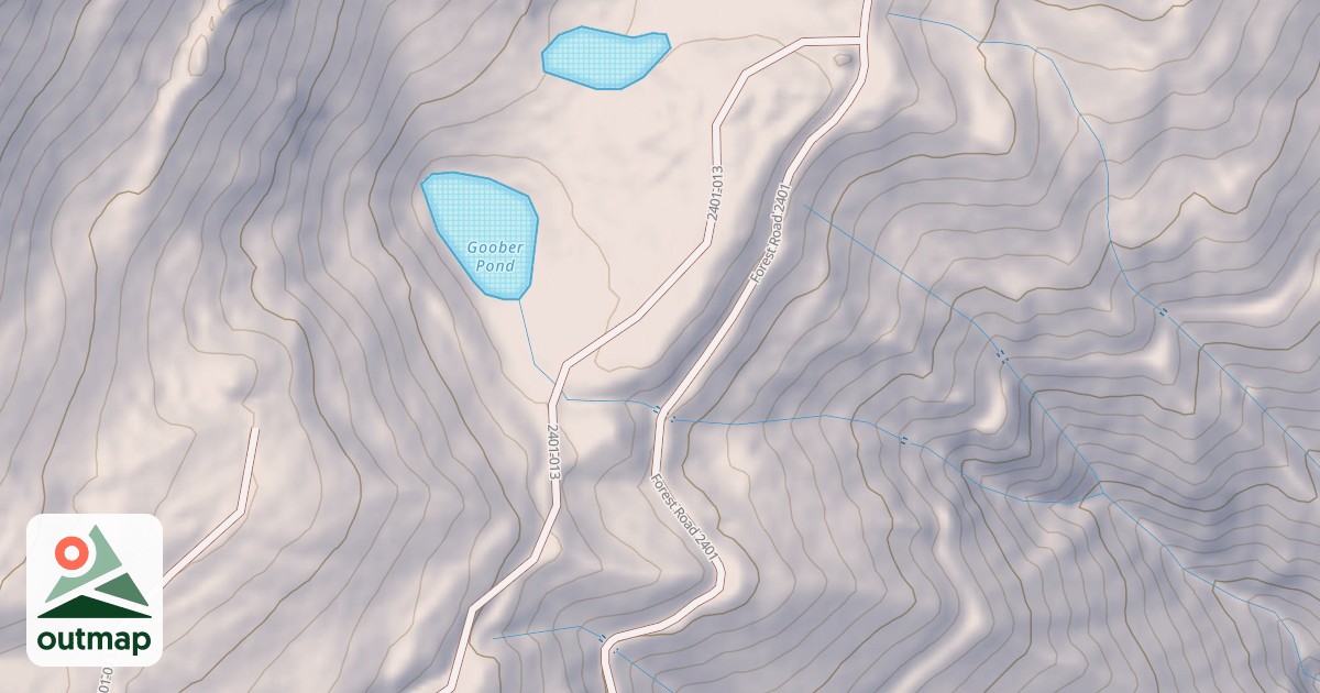 Map of USFS National Forest System Roads {68EA1912-E567-43BC-A314-AF9D333FE024}