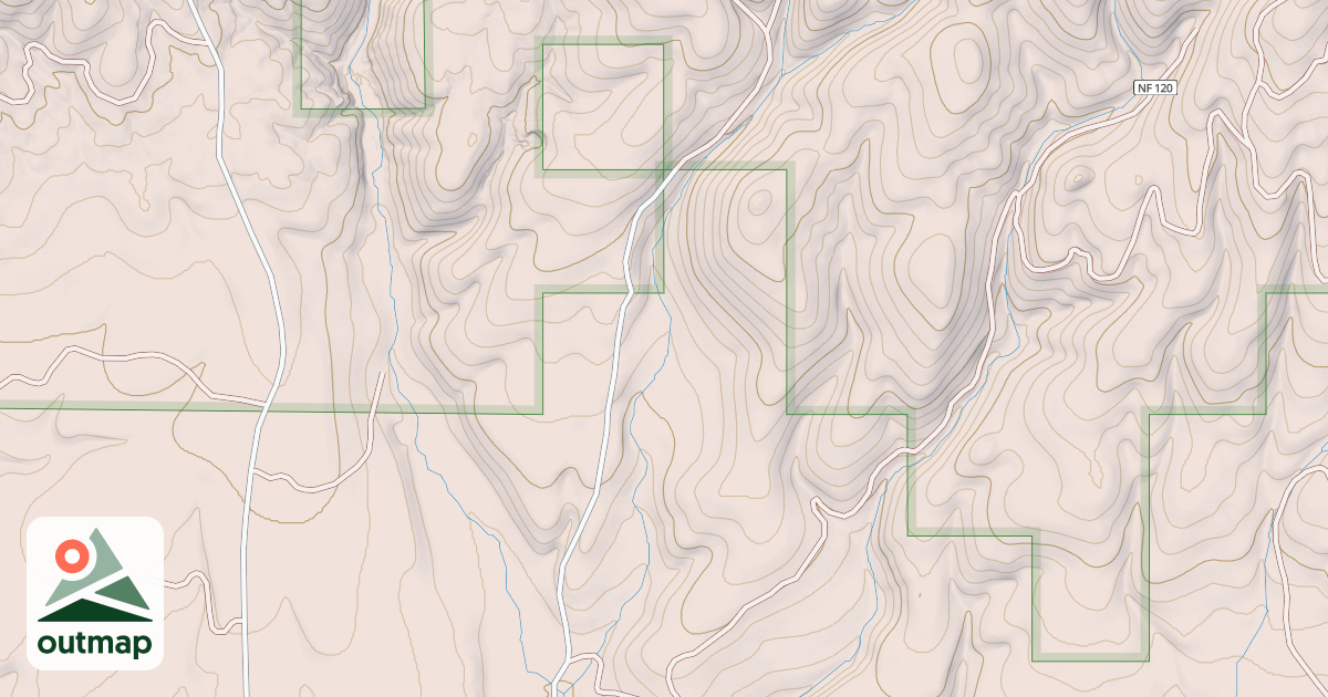 Map of USFS National Forest System Roads {3B33EE3A-A949-4386-B2AC-A0F0E0ADA915}