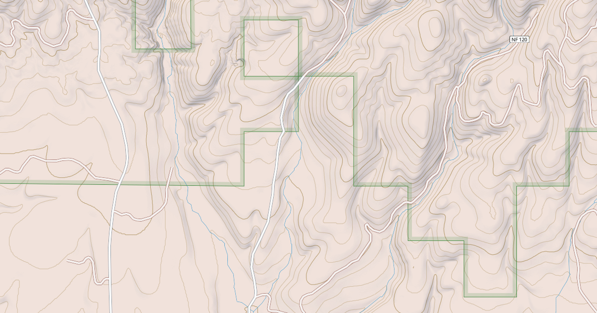 Map preview of USFS National Forest System Roads {3B33EE3A-A949-4386-B2AC-A0F0E0ADA915}