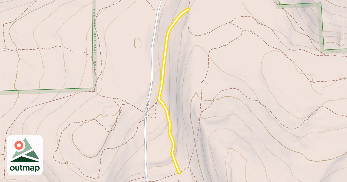 Map of Y8
