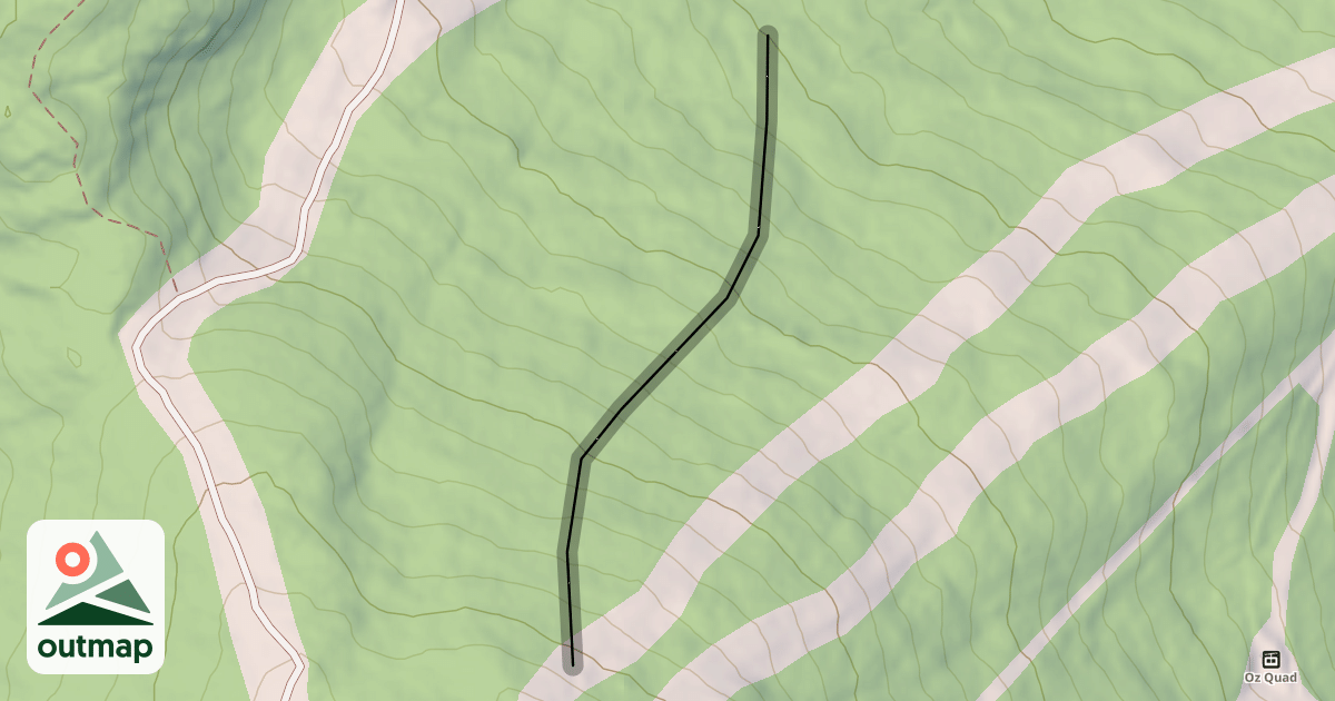 Map of Double Blind