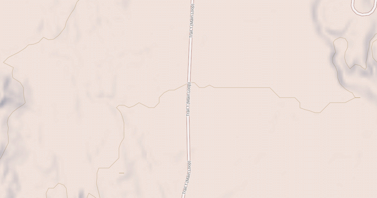 Map preview of BLM National GTLF Public Motorized Roads 08538bad-f161-4b61-a048-f360c3a594d2