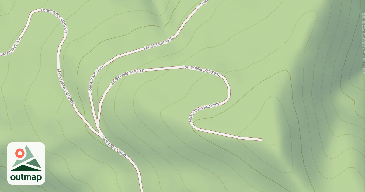 Map of USFS National Forest System Roads {455AB912-5AF9-4753-8598-B5AF11D656F0}