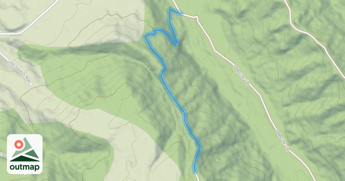 Map of Seesaw