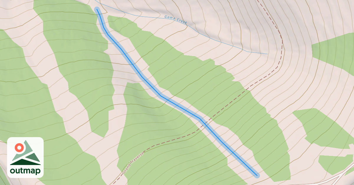Map of The Woods
