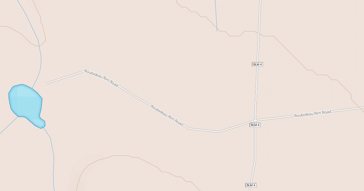 Map preview of BLM National GTLF Public Motorized Roads 45a1bd20-e775-4f10-a0ee-cdfa7adcac63
