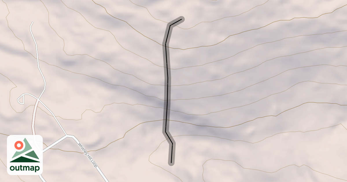 Map of Mr Kew