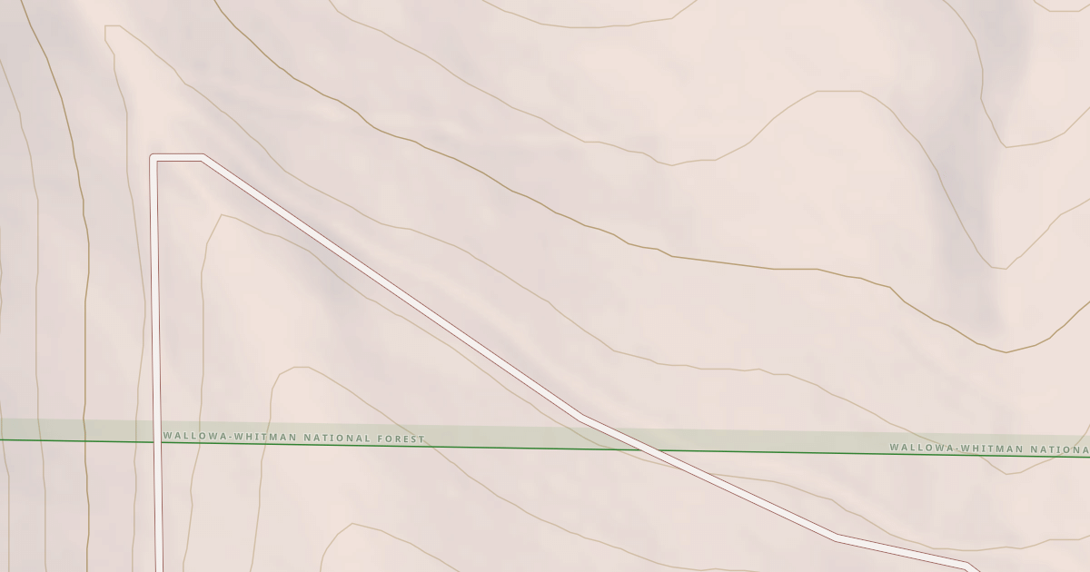 Map preview of USFS National Forest System Roads {604F73E5-37F0-425A-A4AE-34B385EBFB3B}