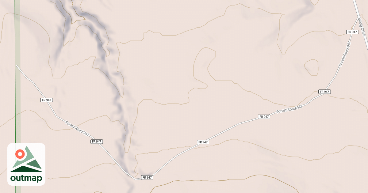 Map of USFS National Forest System Roads {7CF1D3D6-9849-410D-B015-FADE6124E06E}