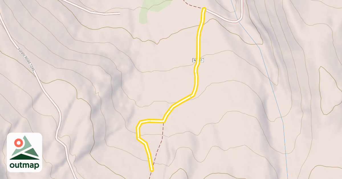 Map of Forest Road 411