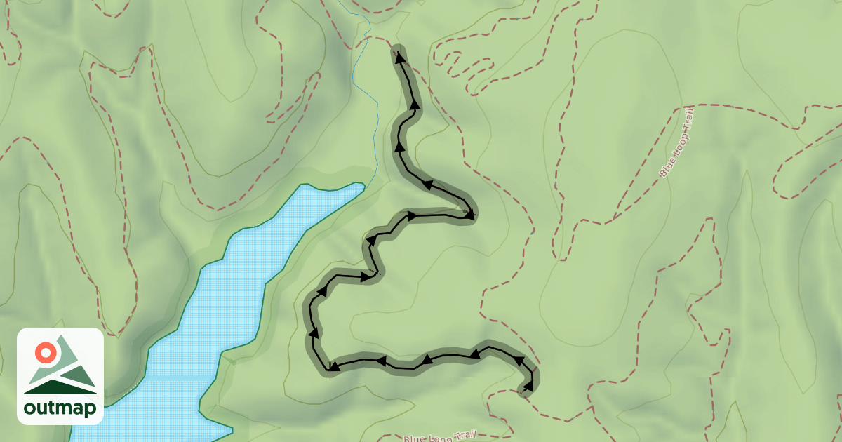 Map of New Shockabilly