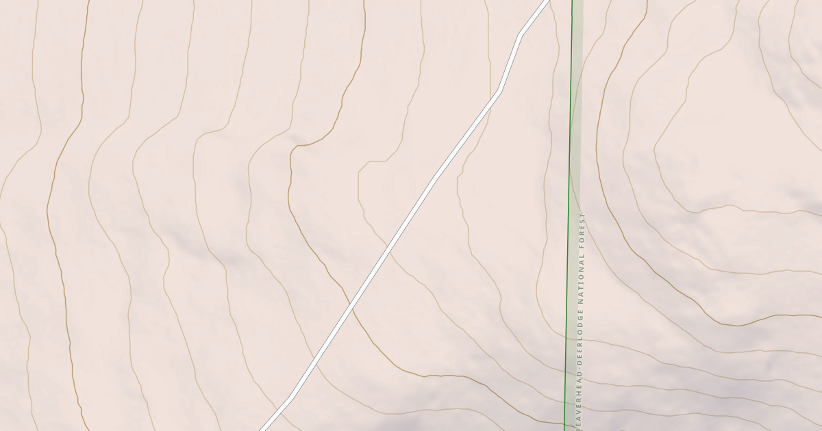 Map preview of BLM National GTLF Public Motorized Roads 58bf7706-eca8-46fd-8455-0345b26c4402