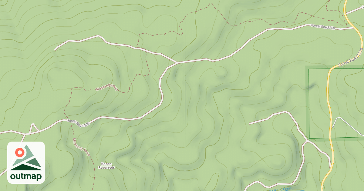 Map of USFS National Forest System Roads {01785638-00B2-4D44-B219-15B69A9EA1FD}