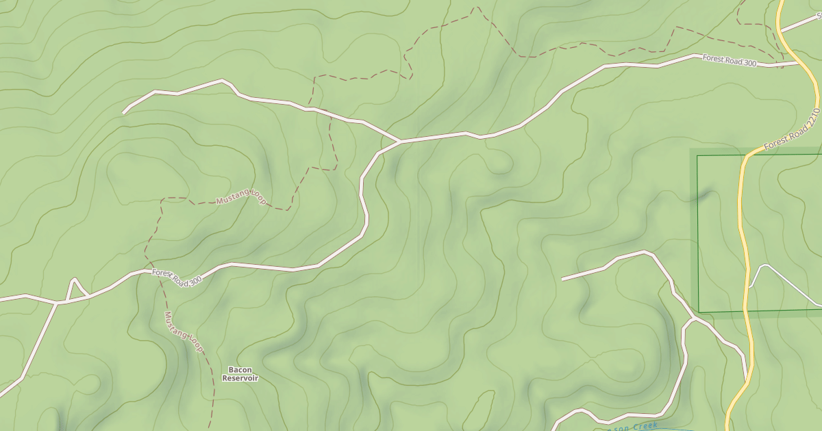 Map preview of USFS National Forest System Roads {01785638-00B2-4D44-B219-15B69A9EA1FD}