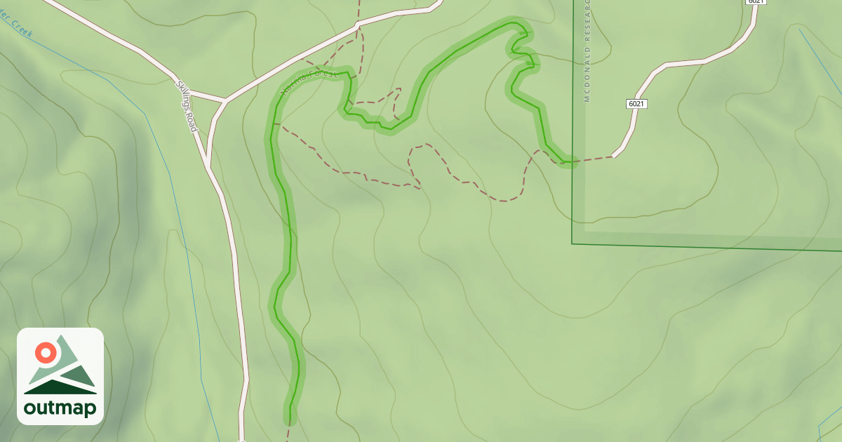 Map of Narnia Forest