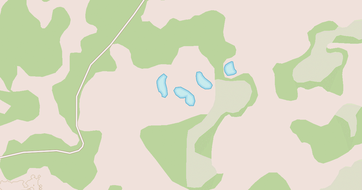 Map preview of USFS Motor Vehicle Use Map Roads {E560028A-D721-4951-991B-B1F52E35FF5D}