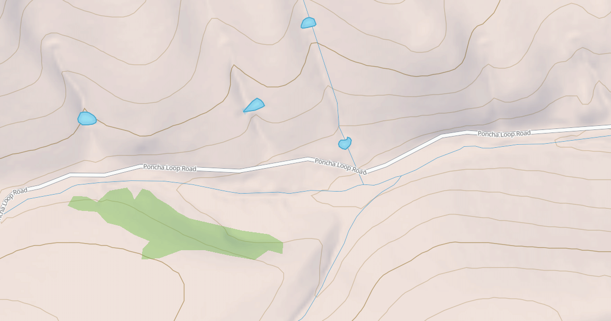 Map preview of BLM National GTLF Public Motorized Roads 7ef2fb7d-9759-40ef-8b12-66766581d64f