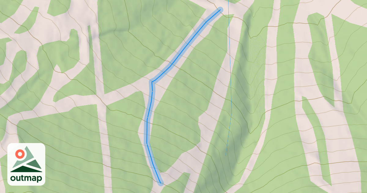 Map of Basin Street