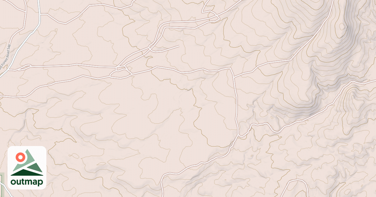 Map of USFS National Forest System Roads {BDC3592B-830D-409F-A980-DFE9C712CD1F}
