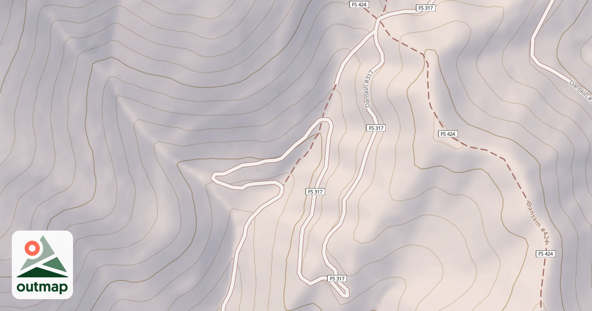 Map of Danskin #317