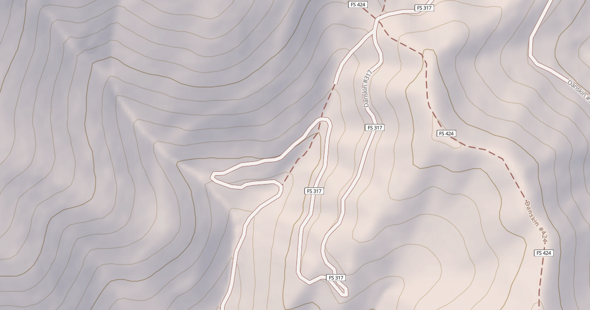 Map preview of Danskin #317