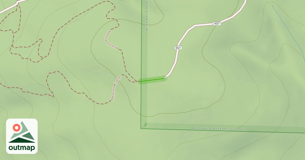 Map of Narnia's Forest