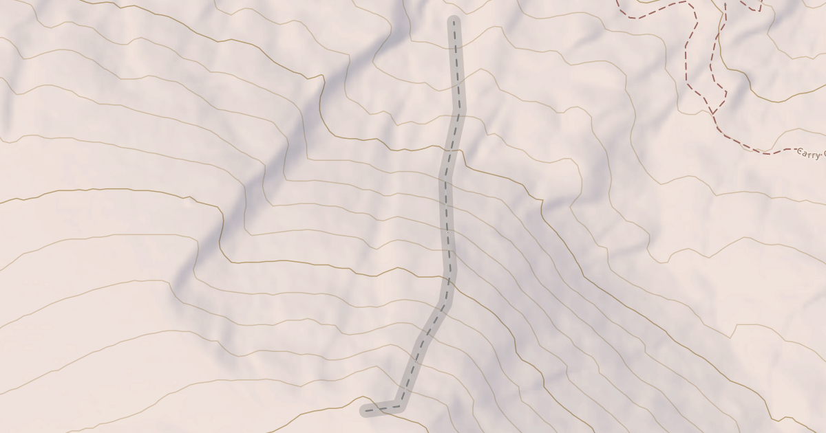 Map preview of Medallion