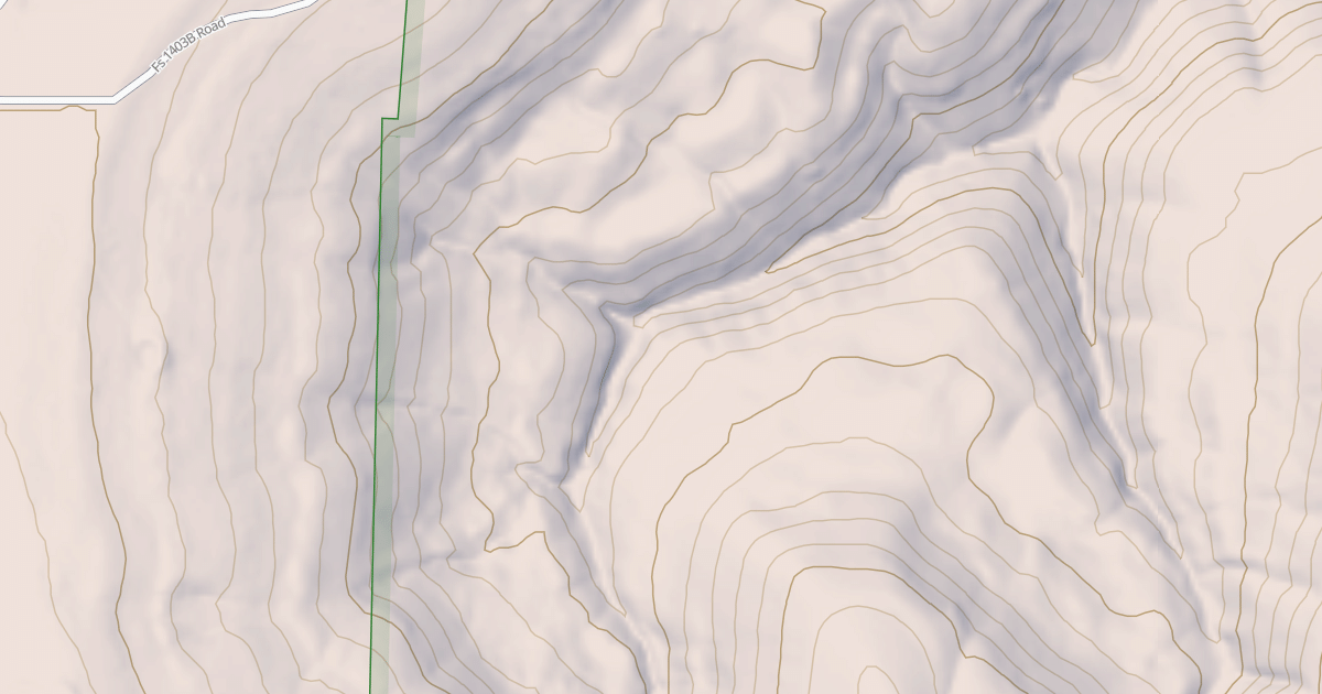 Map preview of USFS Motor Vehicle Use Map Roads {BB034AEF-CC30-46C4-86D1-46842C393EEC}