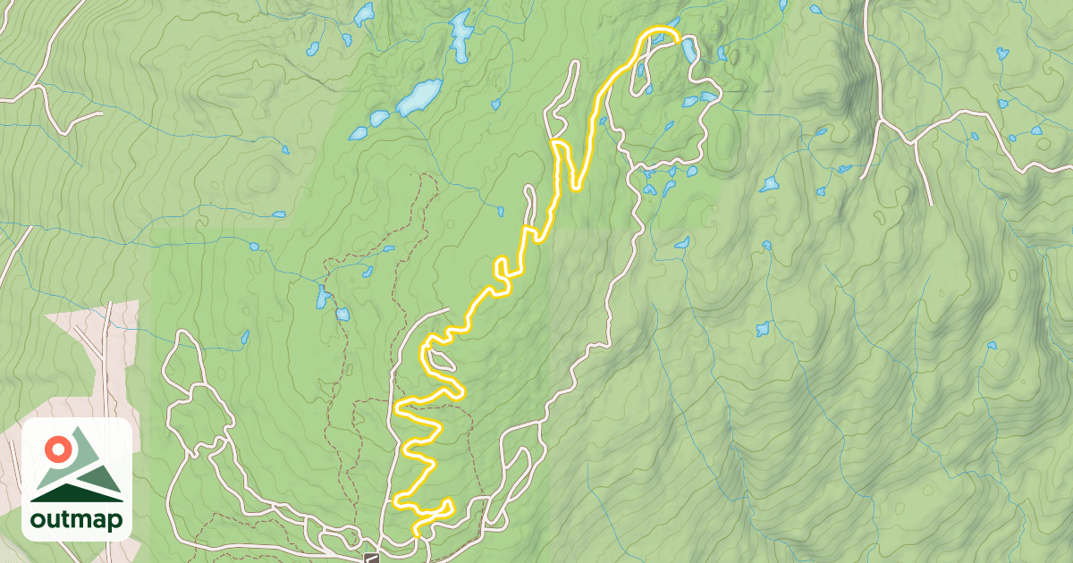 Map of Blueberry