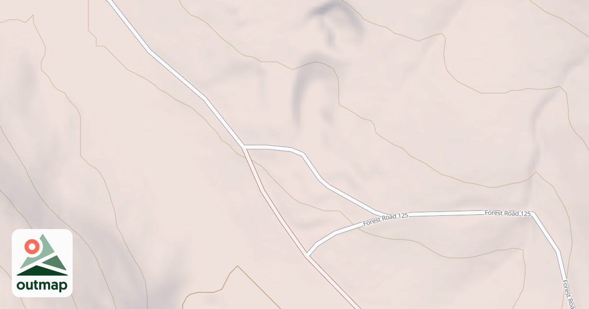 Map of USFS National Forest System Roads {D187DC43-E052-4AC4-8BDB-E276F766AB2B}