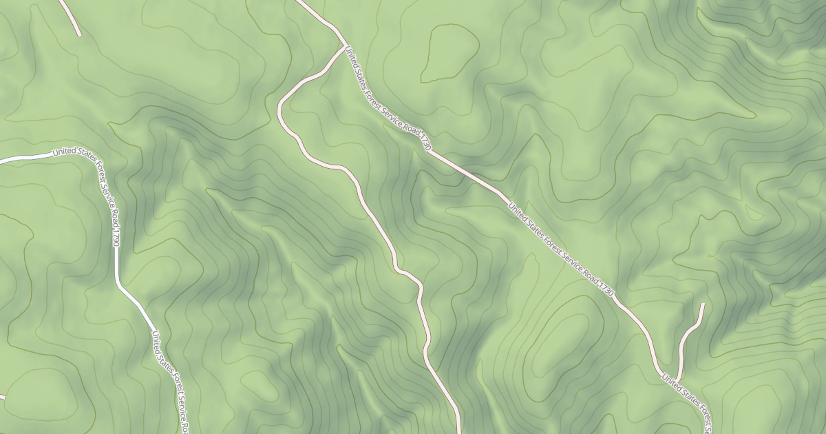 Map preview of USFS Motor Vehicle Use Map Roads {32079500-25DC-4E72-B403-ECA6B0E4A80D}
