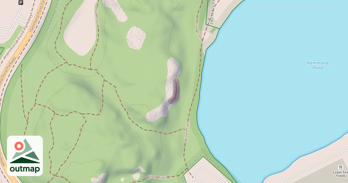 Map of Lower Cliff