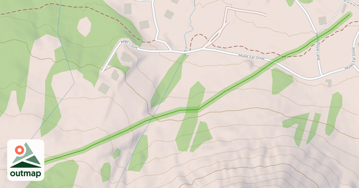 Map of Disney Return