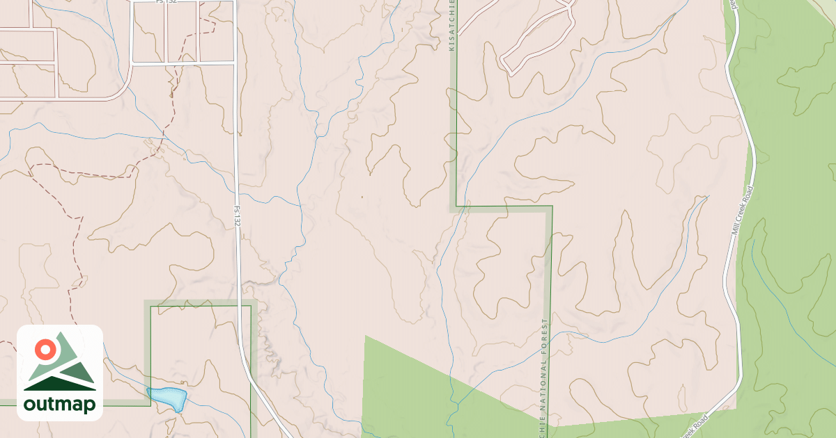 Map of USFS National Forest System Roads {1AD8ECE0-0FE4-4B67-880D-B9957E753F04}
