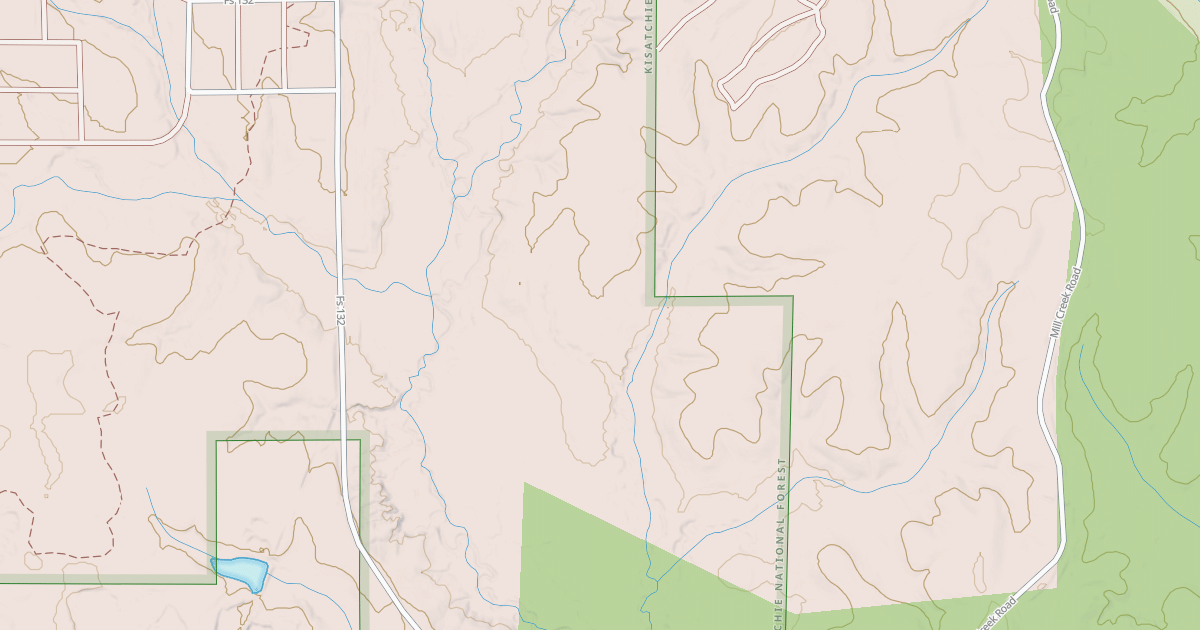 Map preview of USFS National Forest System Roads {1AD8ECE0-0FE4-4B67-880D-B9957E753F04}