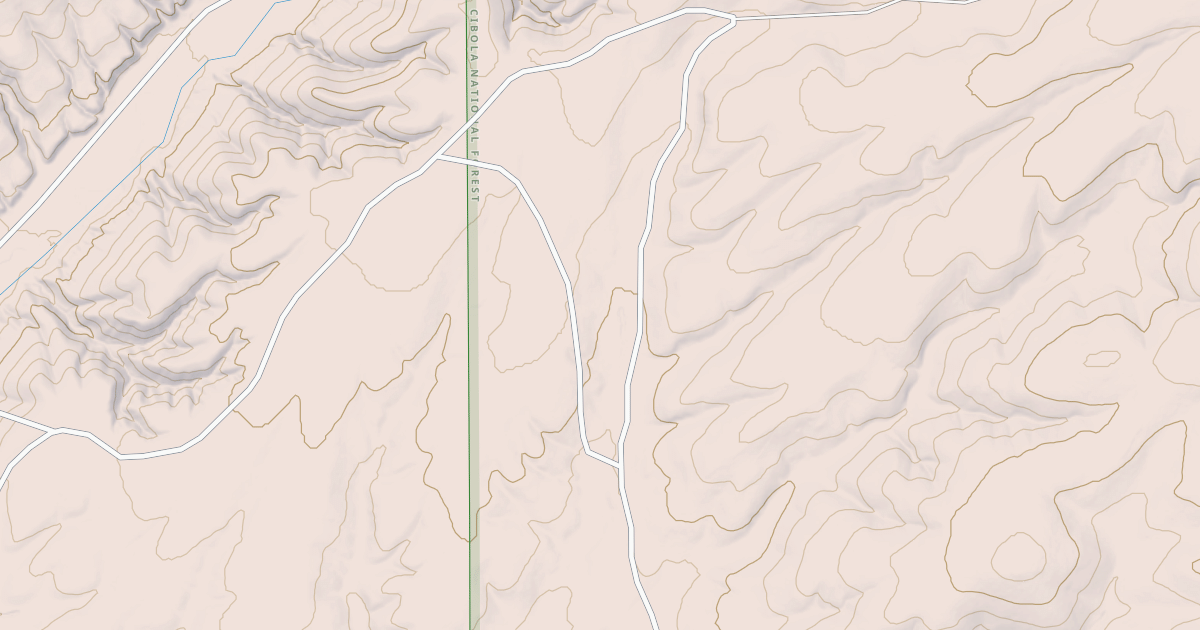 Map preview of USFS Motor Vehicle Use Map Roads {DA9B70CE-1140-4CFB-9FE7-8C8F066093CF}