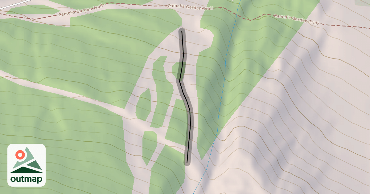 Map of Cats Paw