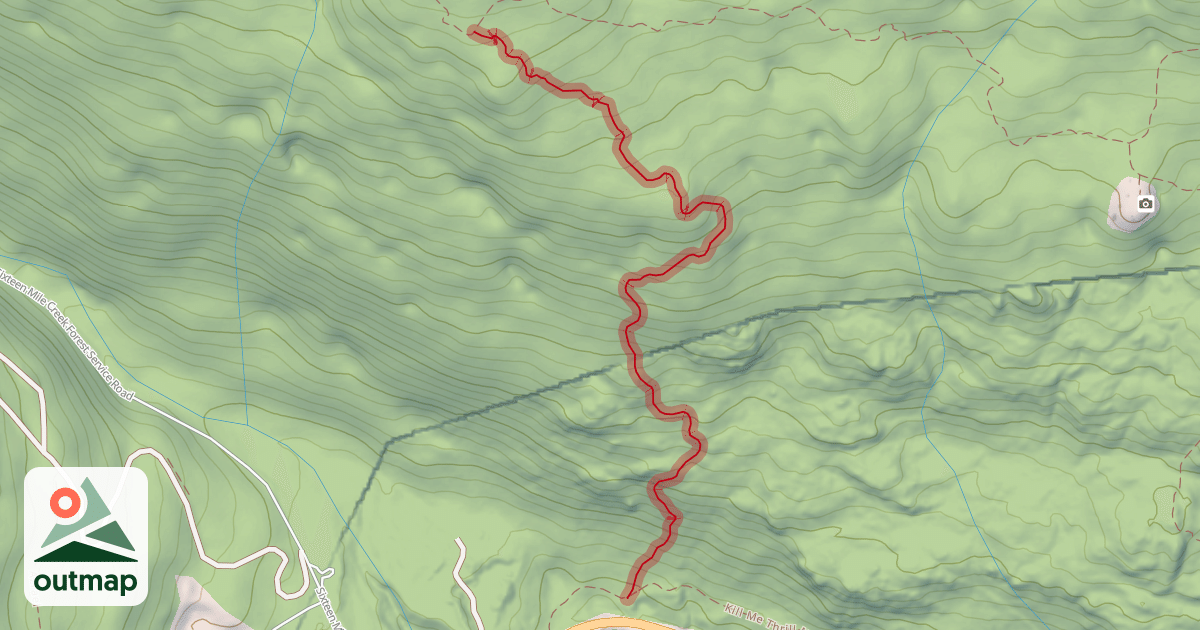 Map of Placenta Biscuits