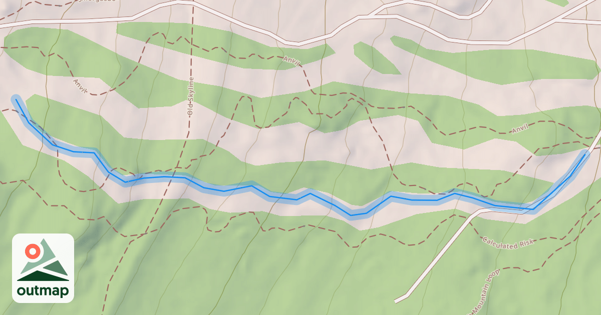 Map of Timber Cruiser