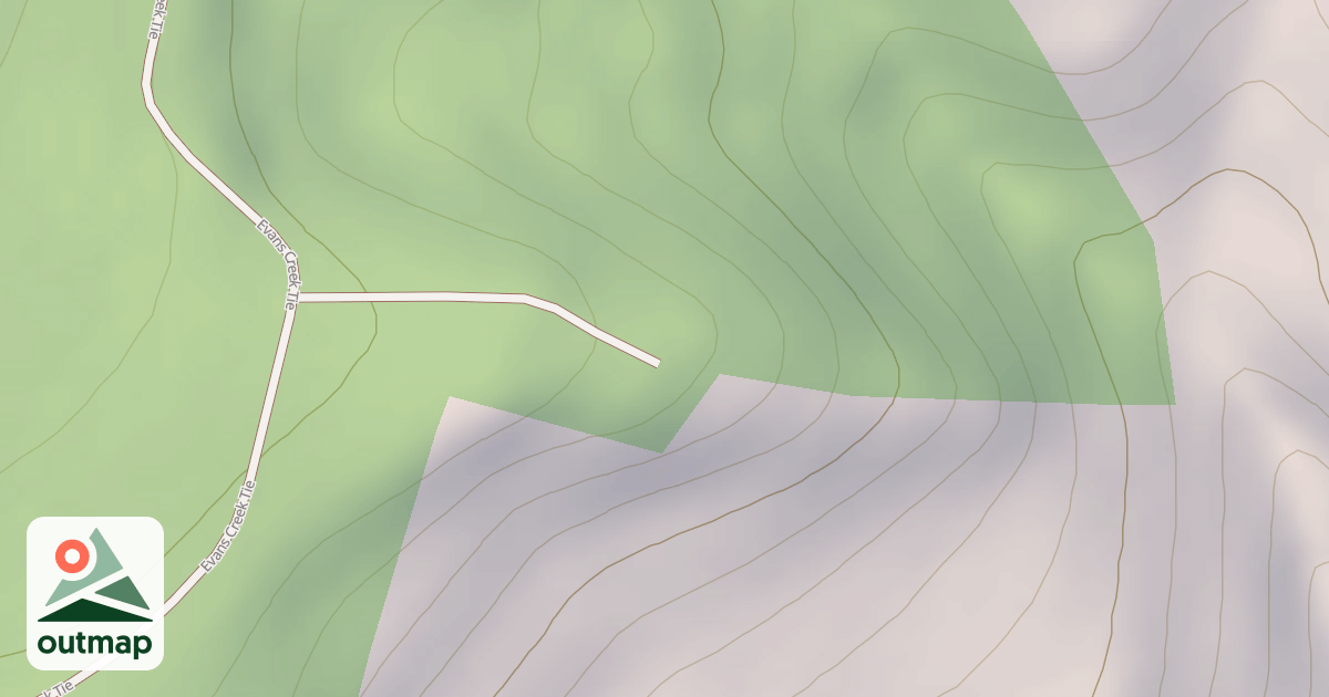 Map of SNOWSHOE T.S.