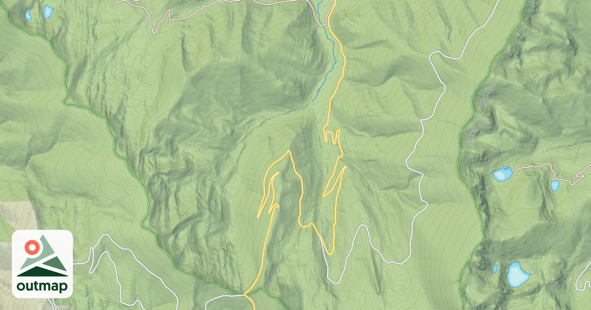 Map of GRAVES VERMILION
