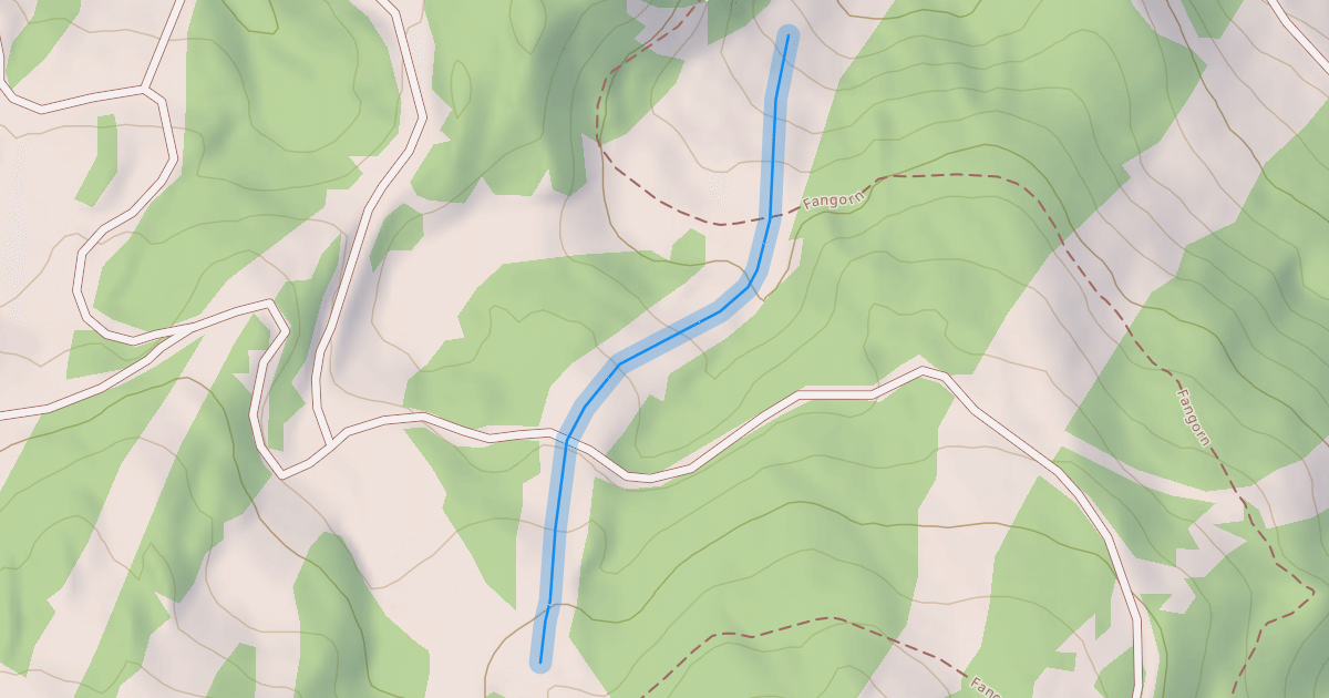 Map preview of Floresta