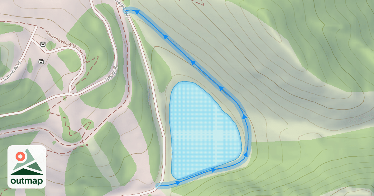 Map of Salamander