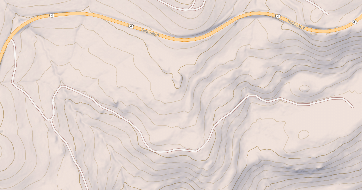 Map preview of USFS National Forest System Roads {FC229574-6245-4D41-AC13-8E2391B42713}