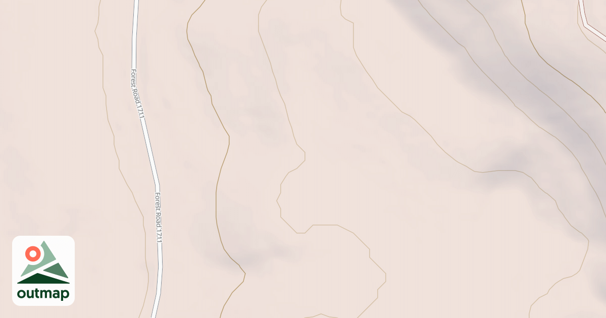 Map of USFS National Forest System Roads {F10396BB-744B-49BB-89FE-CA722D606E7D}