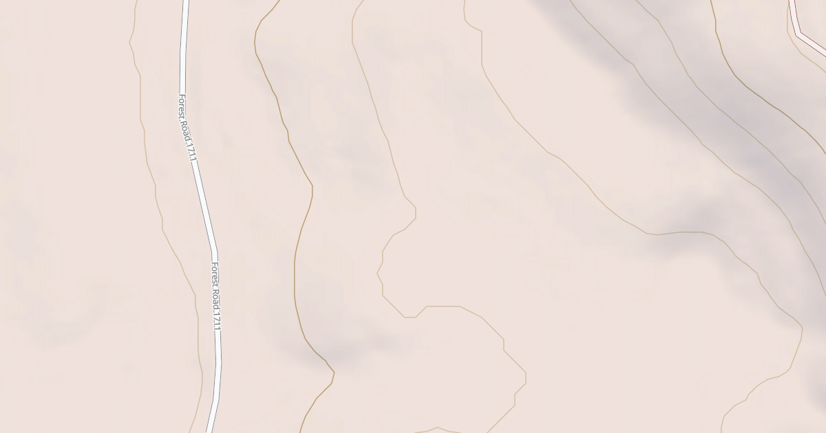 Map preview of USFS National Forest System Roads {F10396BB-744B-49BB-89FE-CA722D606E7D}