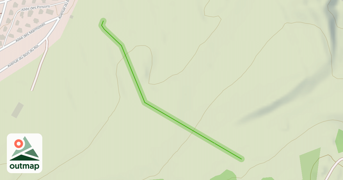 Map of Bois du Roi
