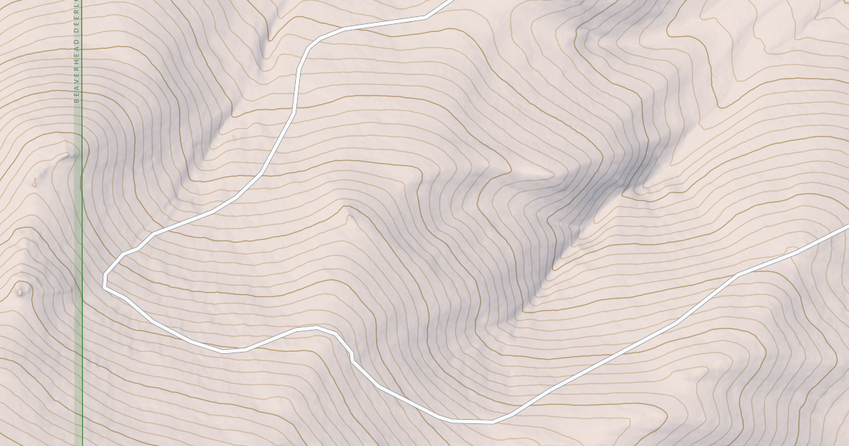 Map preview of BLM National GTLF Public Motorized Roads 7246abae-738d-4bf0-8071-c3bcf94863f6