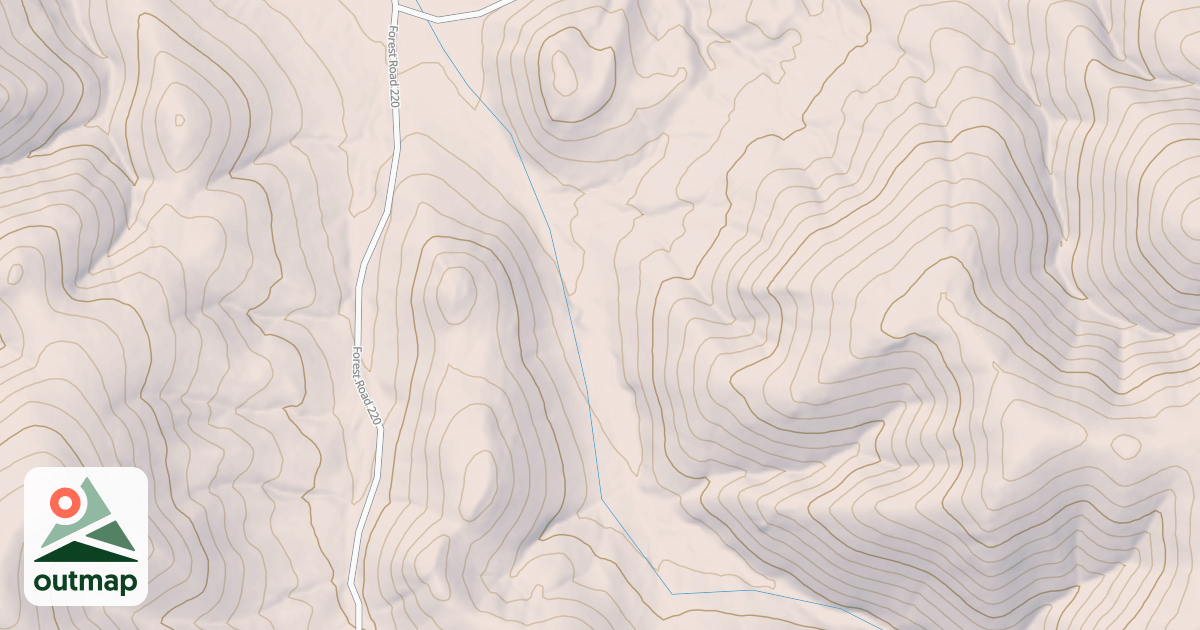 Map of USFS National Forest System Roads {2CB1B8EE-C2AF-41BD-8E77-B5C9896D004A}